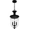 Quoizel Havana Outdoor Hanging 3 Lights Earth Black HVN1910EK - alternate 3
